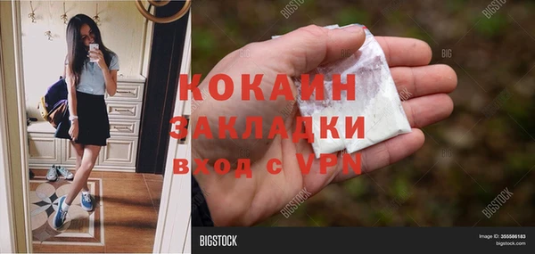 сатива Семилуки
