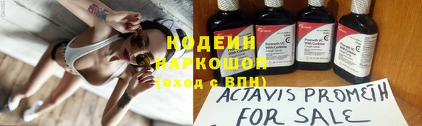 сатива Семилуки