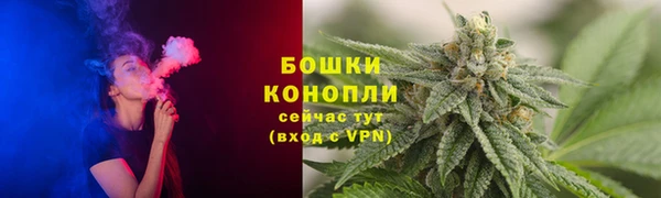 сатива Семилуки