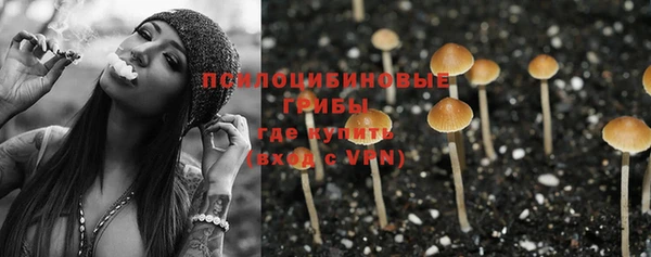 прущие грибы Семёнов