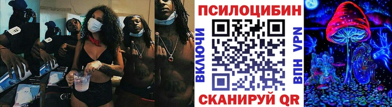 Галлюциногенные грибы MAGIC MUSHROOMS  закладки  Тюкалинск 